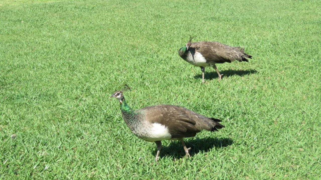 Dwaleni Farm Lodge Matsapha Luaran gambar