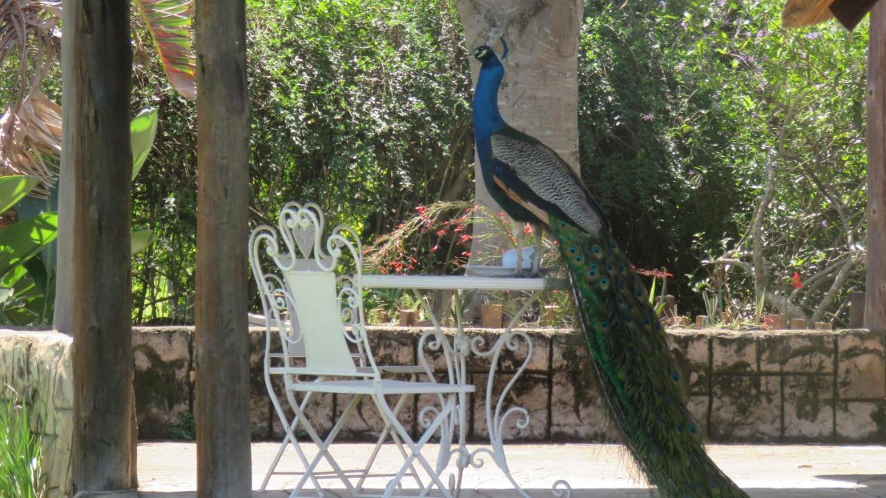 Dwaleni Farm Lodge Matsapha Luaran gambar